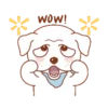 Perrito 17