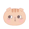 Cute Cats 14