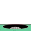 Grey Hamster .MOV 21
