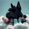 Perritos Guau Guau 22