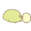 11.1 me ignora Visto poke #- 21