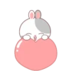 Rabbit 2 .MOV 20