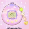 Mi ranita Jelly 2 24