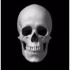 MEMES ANIMATED (italiani) 8 20