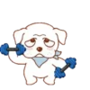 Perrito 21