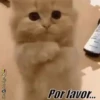 Mix ✥1 Movi 25