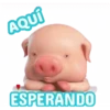 Cerdito lindo 1 MOV. 22