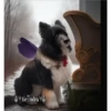 Perritos Guau Guau 25