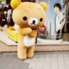 4.3 Baile peluche 21