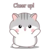 Grey Hamster MOV. 23