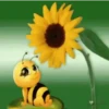 Girassóis 1 29