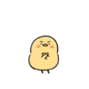 Cute little chick 19