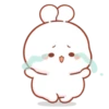 Cotton Bunny 2 MOV. 19