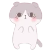 Cute Cats 15