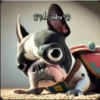 Perritos Guau Guau 27
