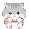 Grey Hamster .MOV 23