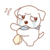 Perrito 23
