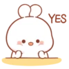 Cotton Bunny 2 MOV. 22