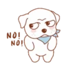 Perrito 24