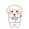 Perrito 25