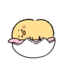 Cute little chick 21