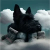 Perritos Guau Guau 29
