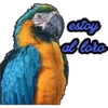 Memitos variados 1 Clásica 27