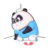Panditas de Katiana MOV 24