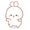 Cotton Bunny 2 MOV. 23