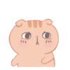 Cute Cats 16