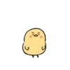 Cute little chick 23