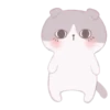 Cute Cats 17