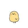 Cute little chick 25