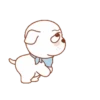 Perrito 29
