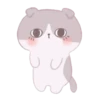 Cute Cats 18