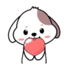Cute puppy 5
