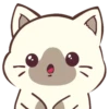 Gato siamés 2 5