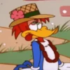 Pájaro Loco Mov 7