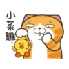 白爛貓xBROWN & FRIENDS 5