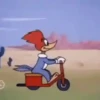 Pájaro Loco Mov 8