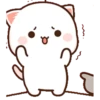 Котята мочиса 7
