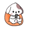 Cute puppy 6