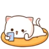 mochi cat [you] 9