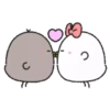 Blcak & White Chick3 7