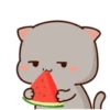 mochi cat[me] 12