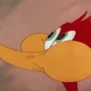 Pájaro Loco Mov 13