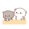 mochi cat[you&me] 9