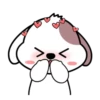Cute puppy mov 6