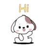Cute puppy 7