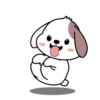 Cute puppy mov 7